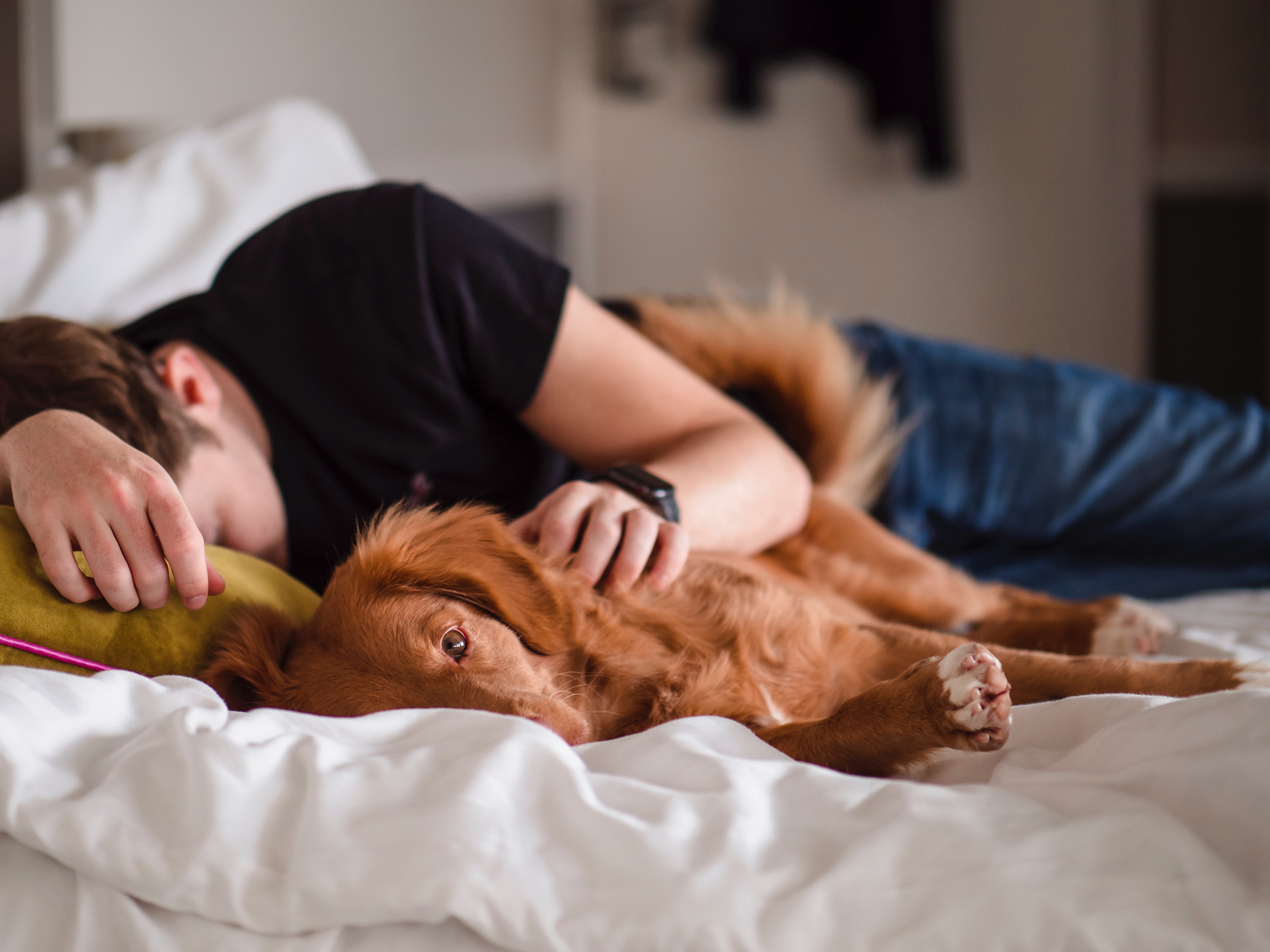The Power of Sleep image of man sleeping on side with dog