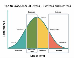 a graph showing an upwards trend of stress improves performance, peaking with an optimal amount of stress called 'eustress', followed by a downward trend toward 'fatigue', 'anxiety', and 'breakdown' as you add unsustainable stress. This negative trend is labelled as 'distress'.