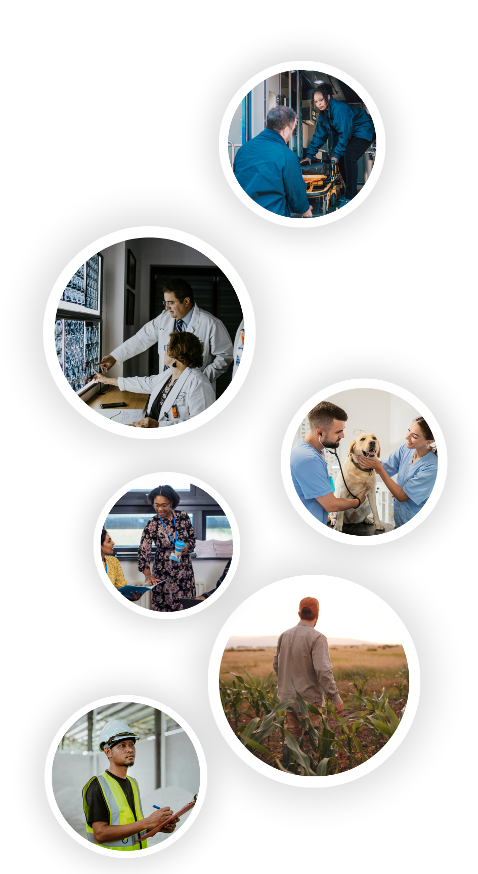Images in circles showing first responders, doctors/healthcare professionals, veterinarians, teachers, agriculture workers and construction/trade workers.